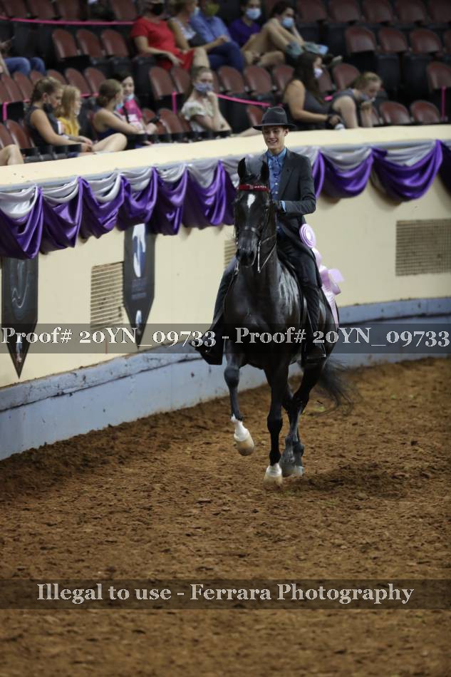 Proof 20YN_09733