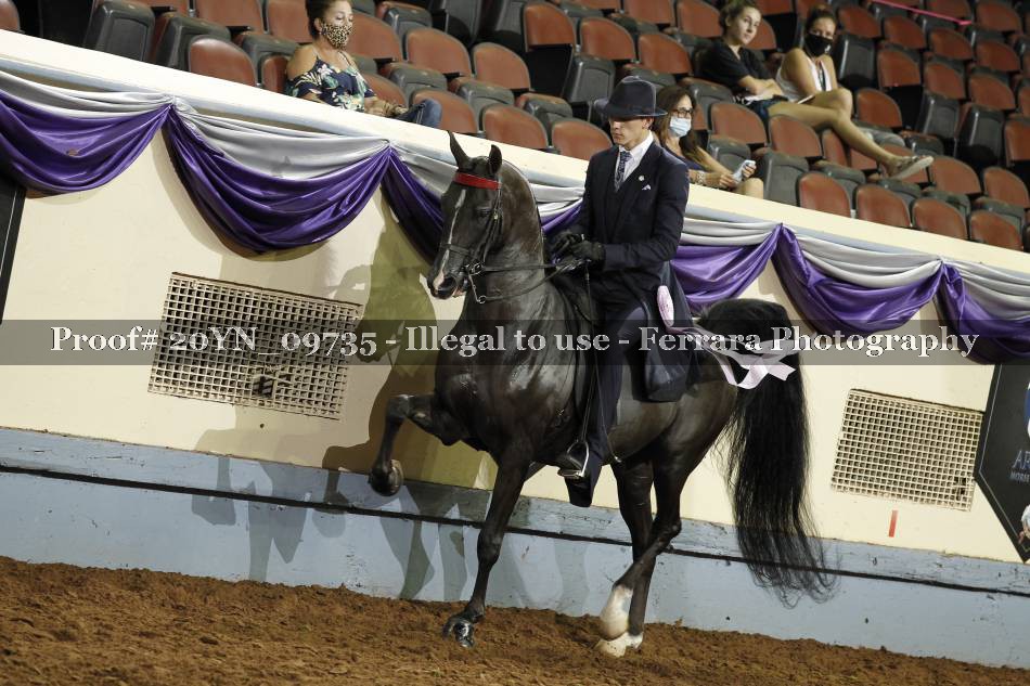 Proof 20YN_09735