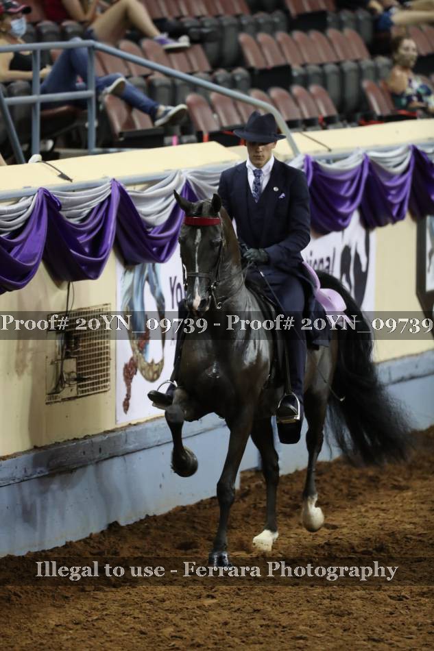 Proof 20YN_09739