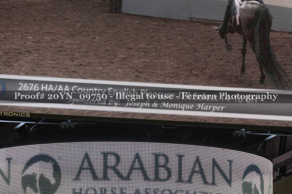 Proof 20YN_09750