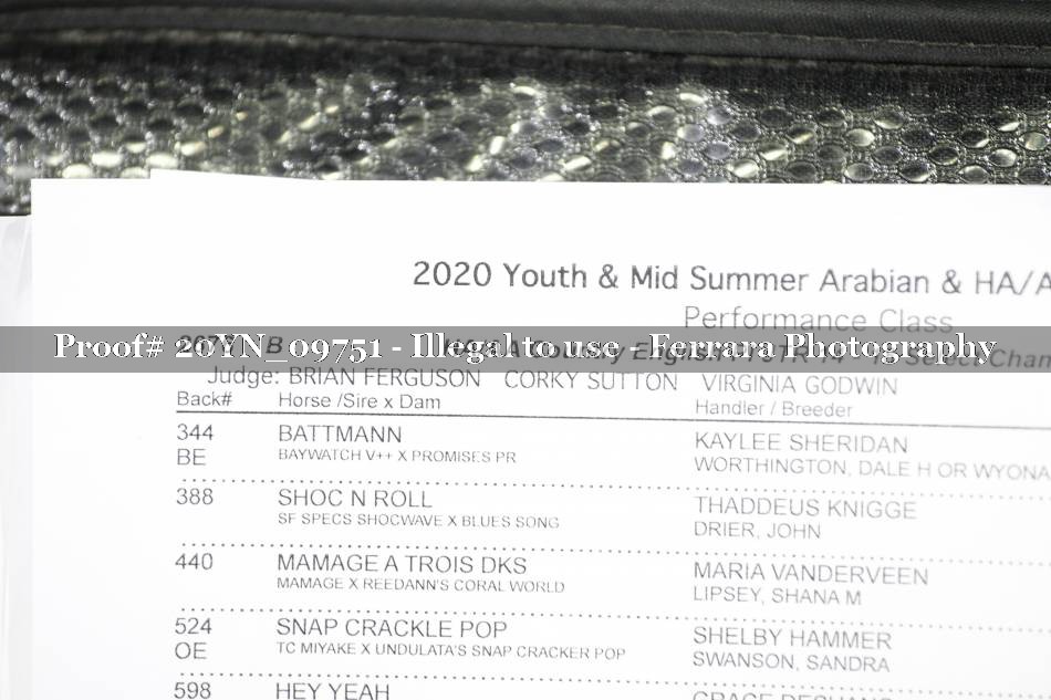 Proof 20YN_09751