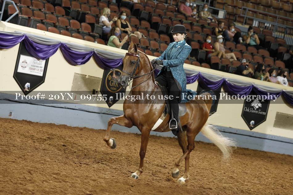 Proof 20YN_09755
