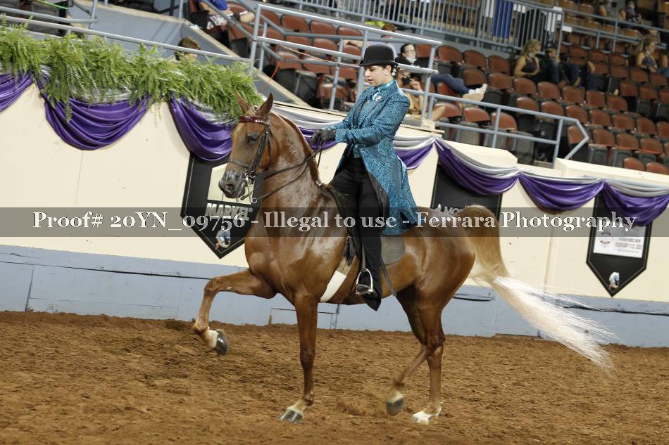Proof 20YN_09756