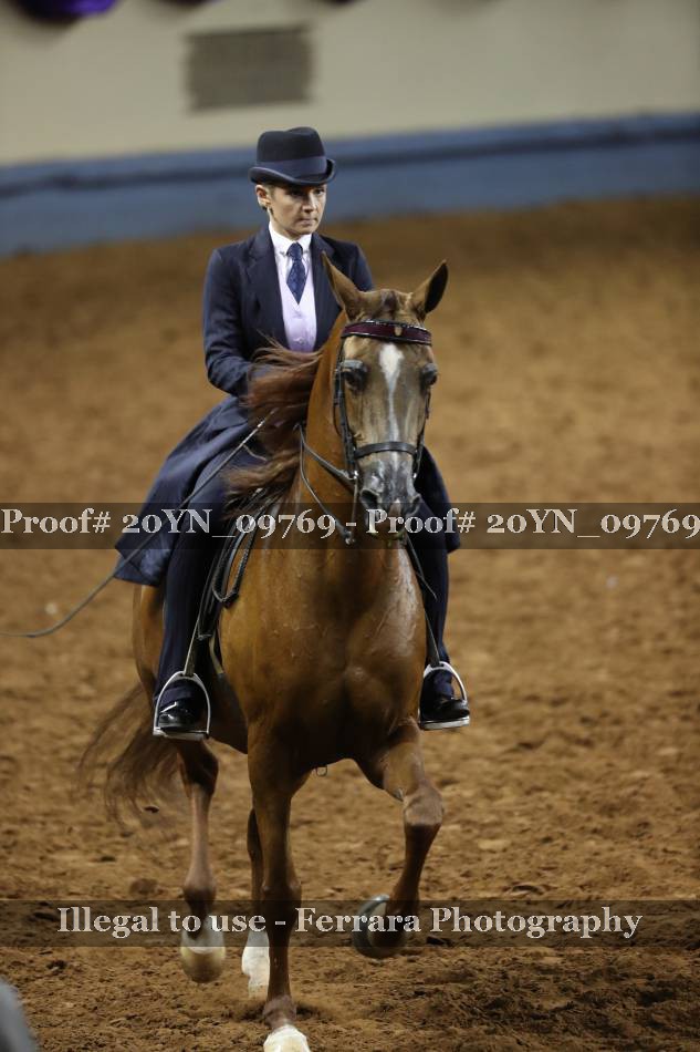 Proof 20YN_09769