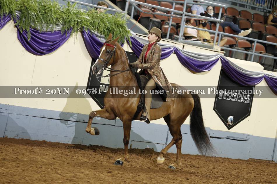 Proof 20YN_09781