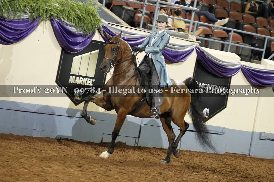 Proof 20YN_09784