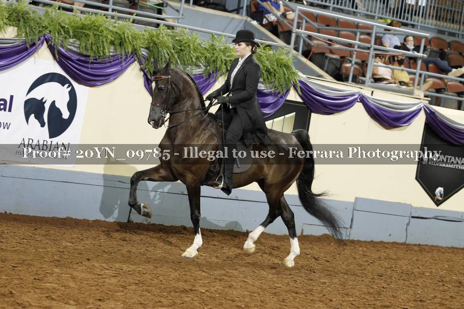 Proof 20YN_09785