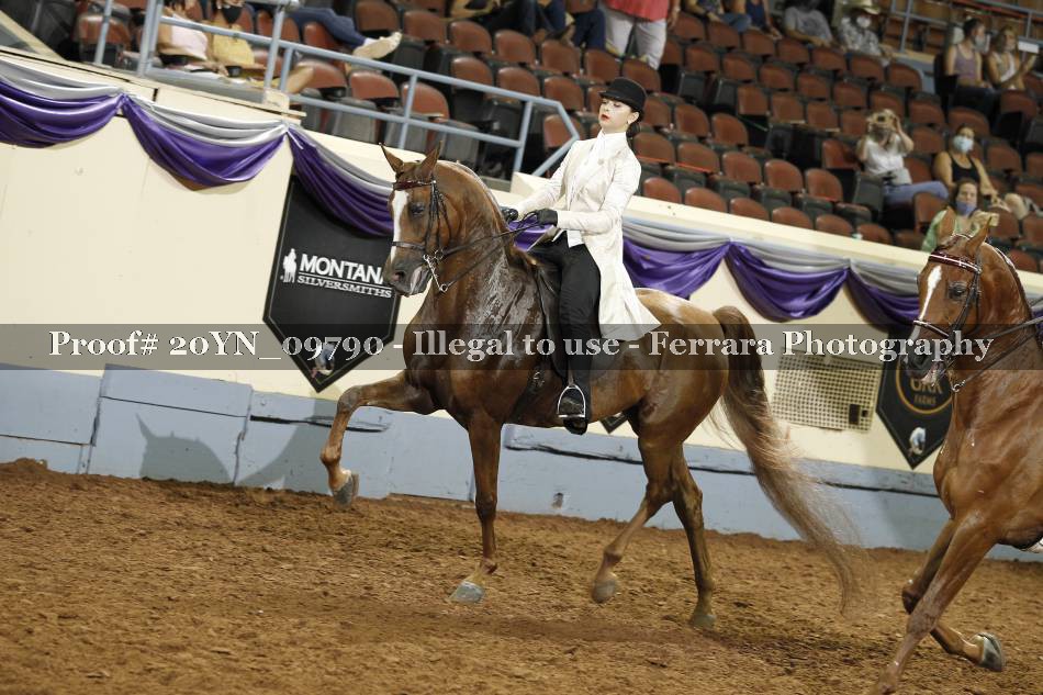 Proof 20YN_09790
