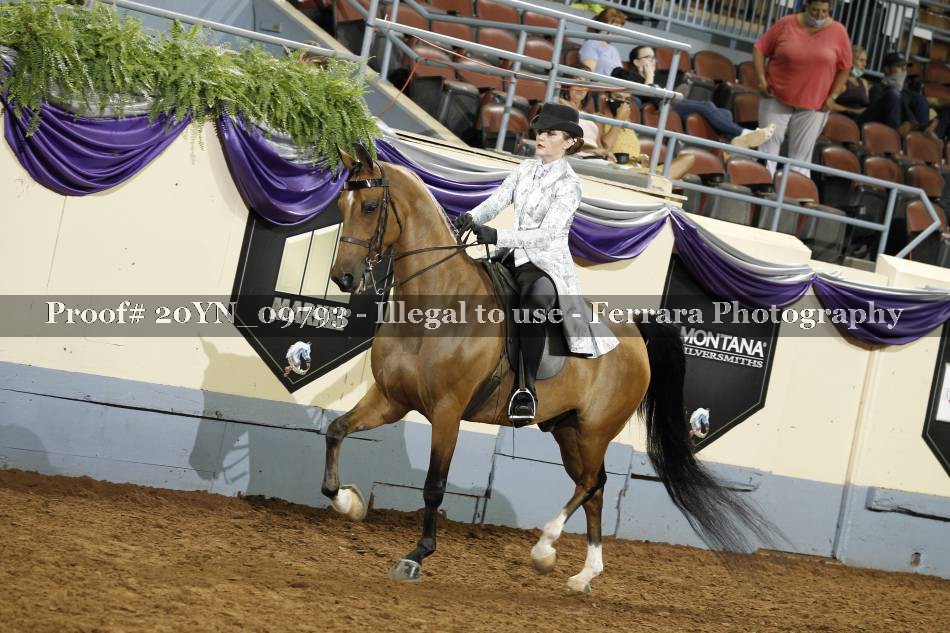 Proof 20YN_09793