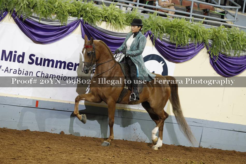 Proof 20YN_09802