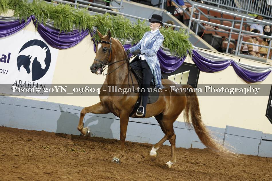 Proof 20YN_09804