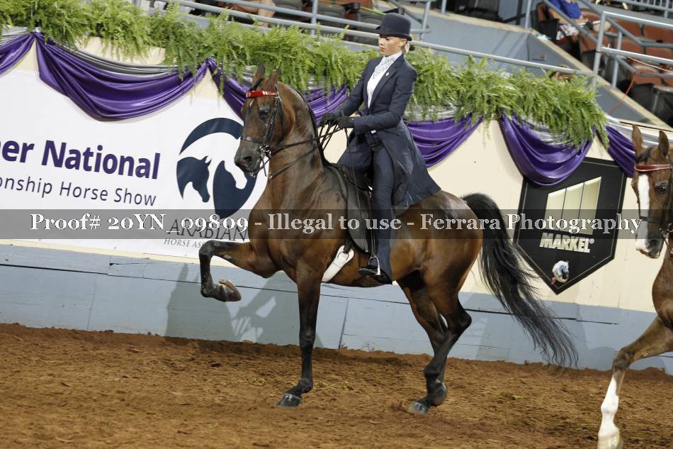 Proof 20YN_09809