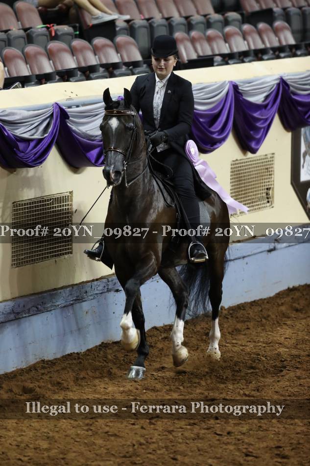 Proof 20YN_09827