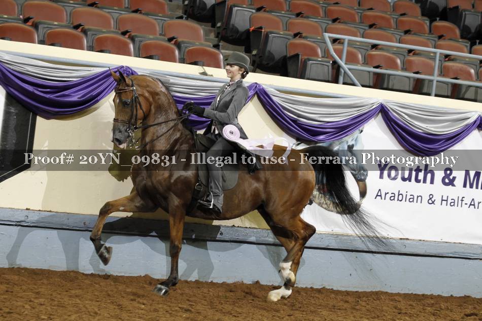 Proof 20YN_09831