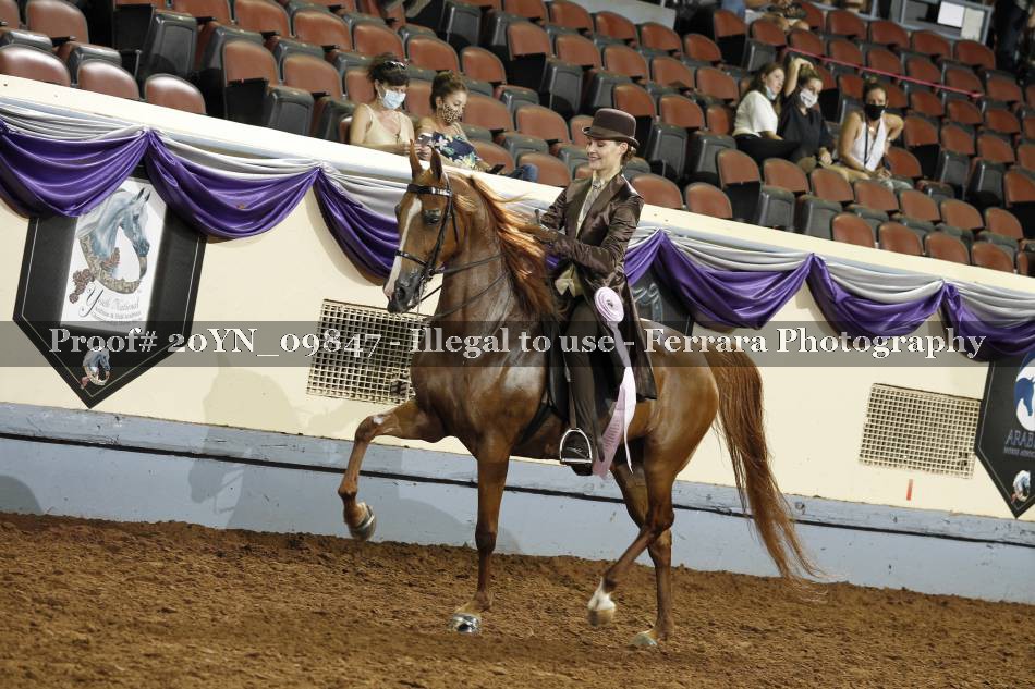 Proof 20YN_09847