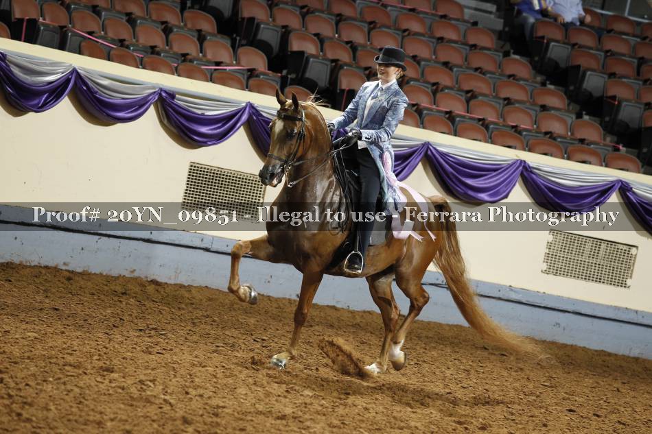 Proof 20YN_09851