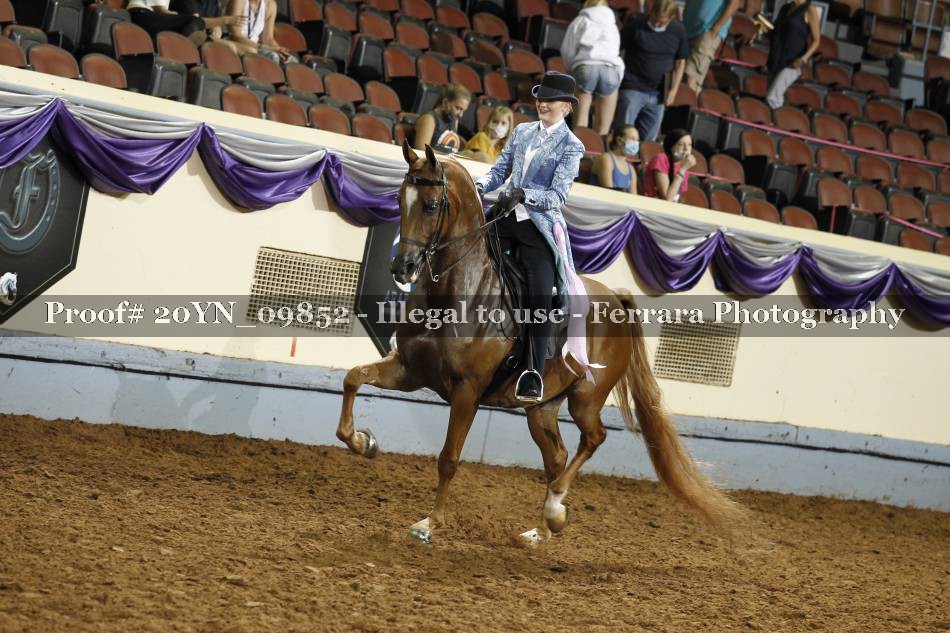 Proof 20YN_09852