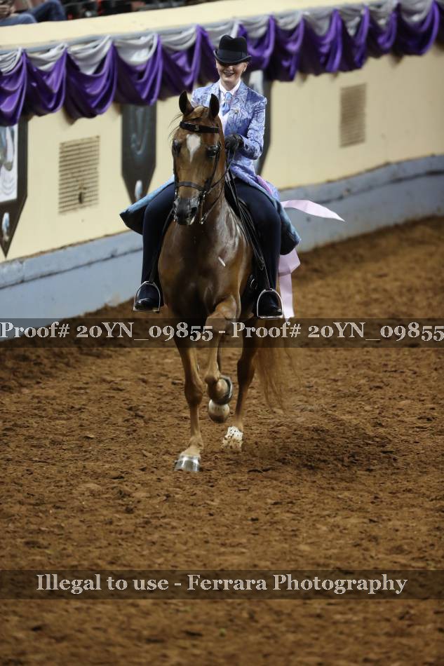 Proof 20YN_09855