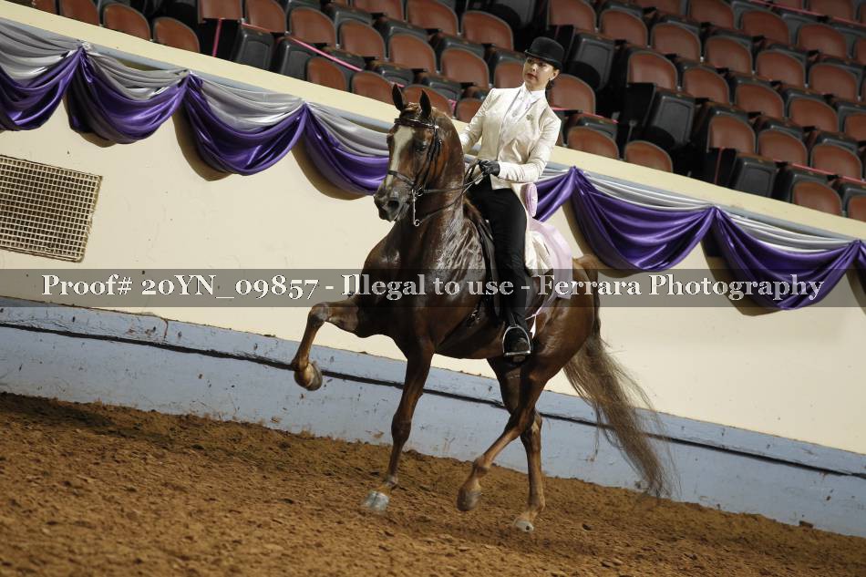 Proof 20YN_09857