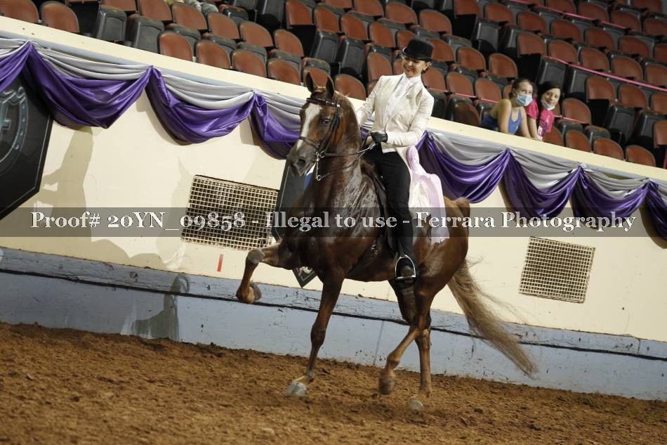Proof 20YN_09858