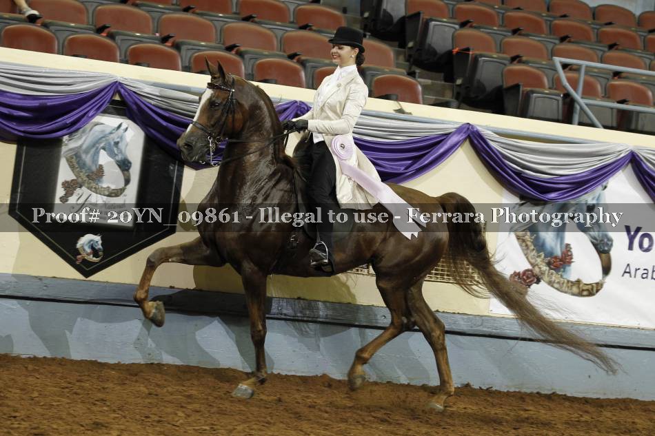 Proof 20YN_09861