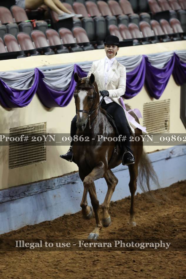 Proof 20YN_09862