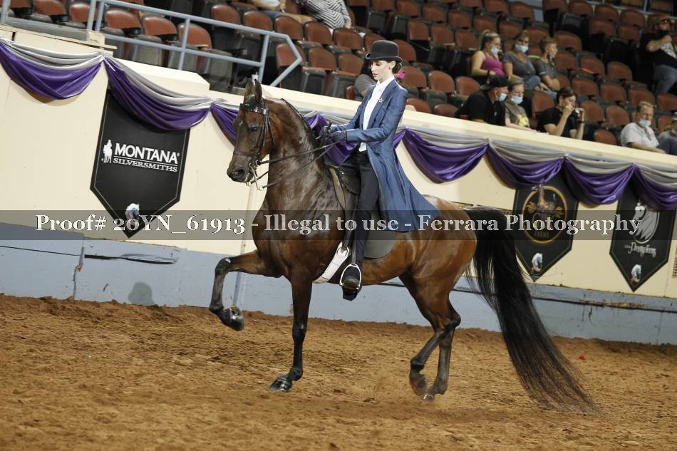 Proof 20YN_61913