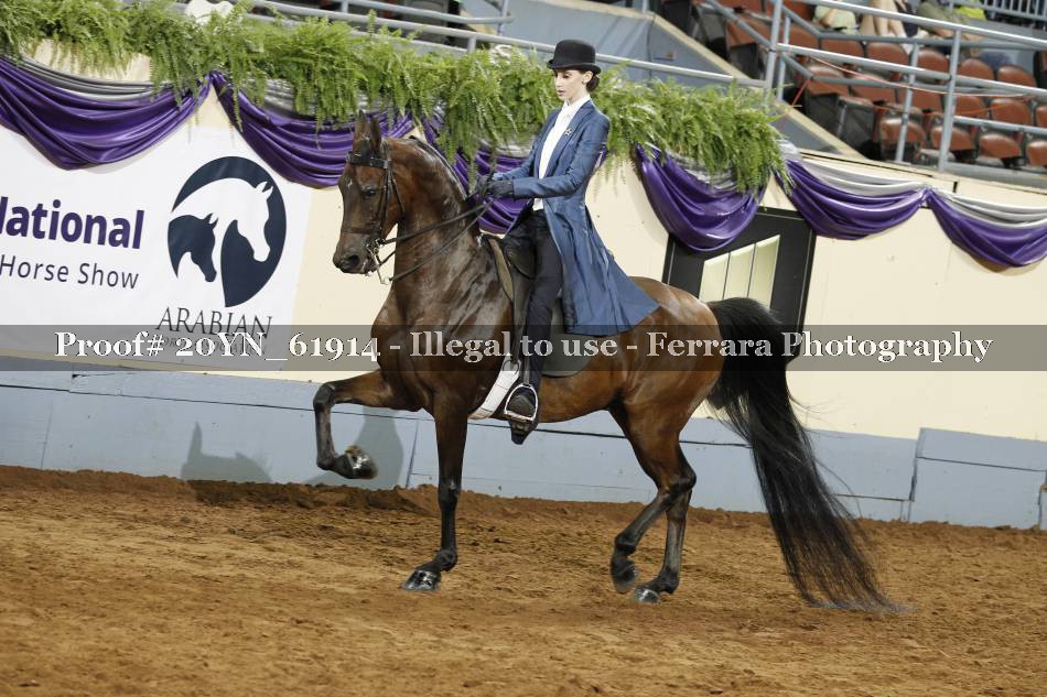 Proof 20YN_61914