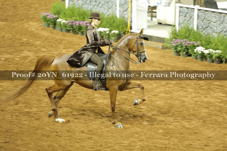 Proof 20YN_61922
