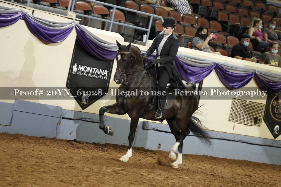 Proof 20YN_61928