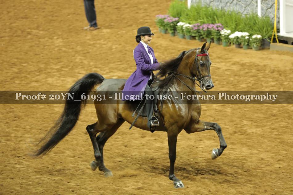 Proof 20YN_61931