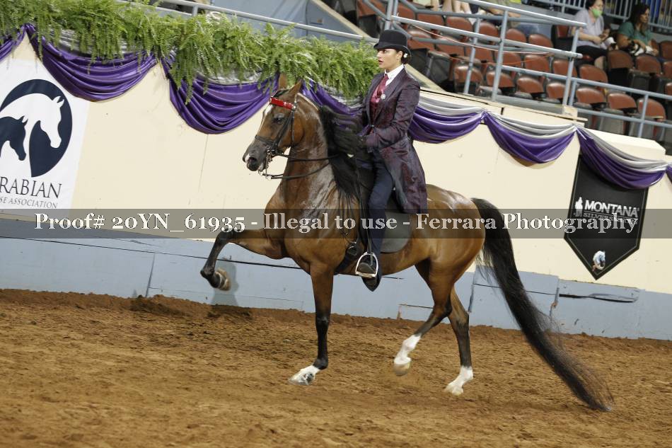 Proof 20YN_61935