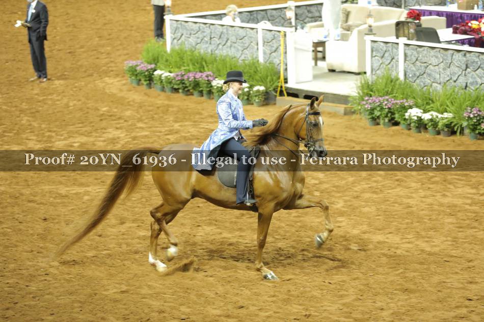 Proof 20YN_61936