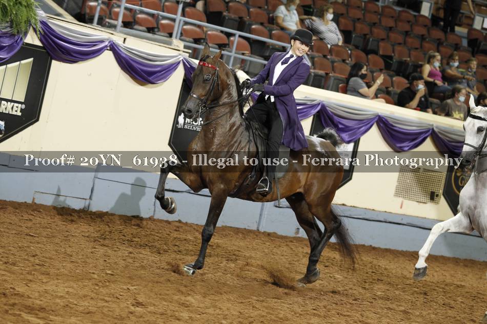 Proof 20YN_61938