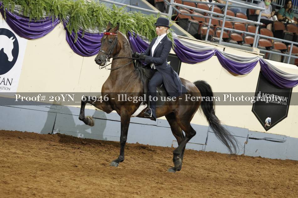Proof 20YN_61946