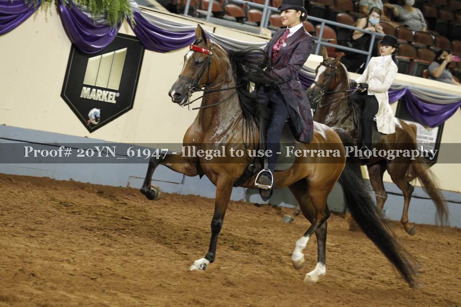Proof 20YN_61947