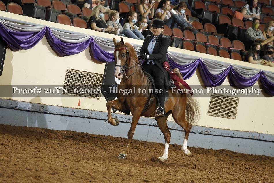 Proof 20YN_62008