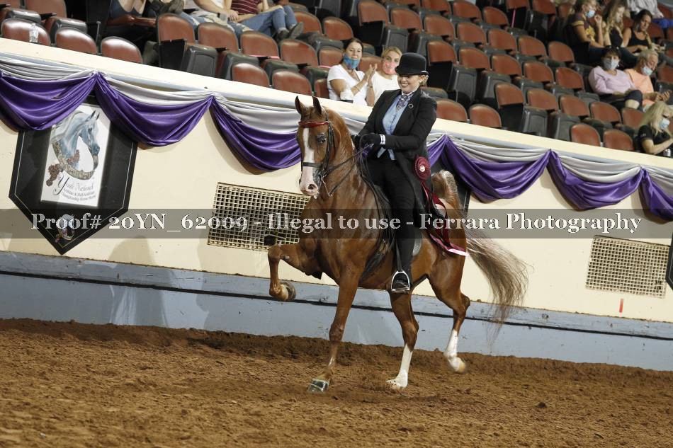 Proof 20YN_62009
