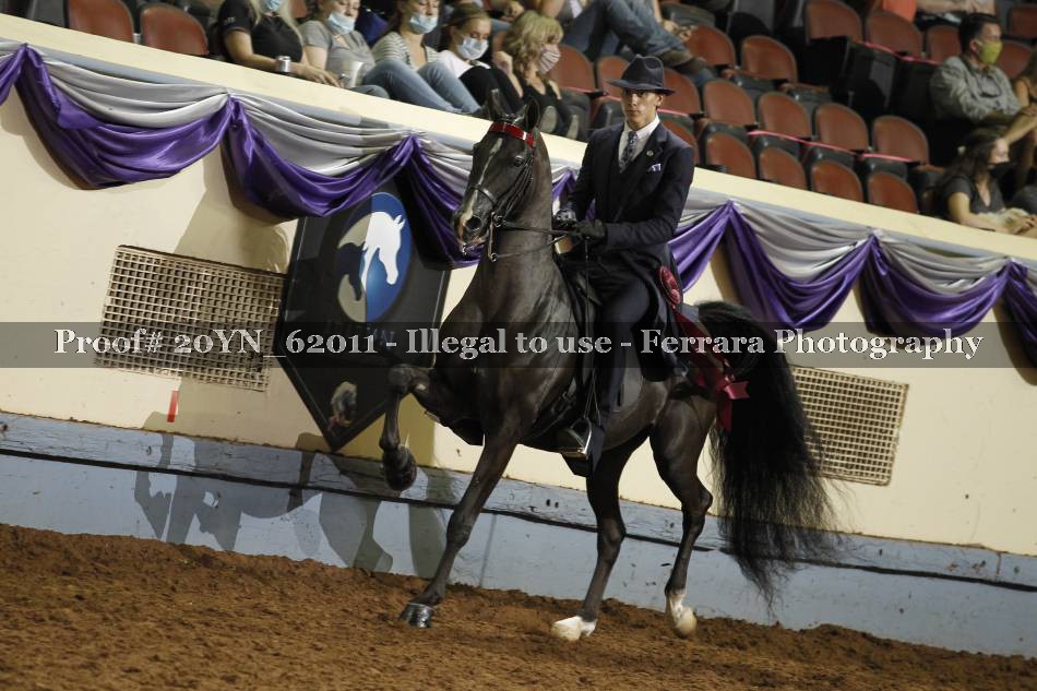 Proof 20YN_62011