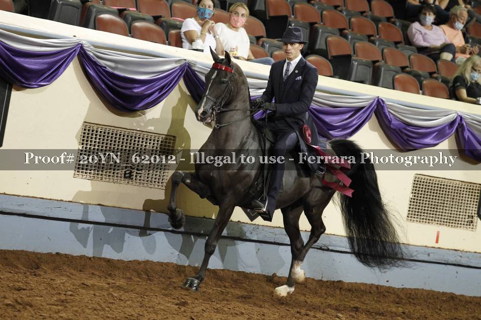 Proof 20YN_62012