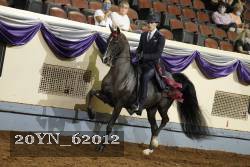 20YN_62012 proof