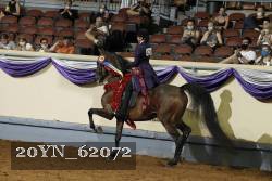 20YN_62072 proof