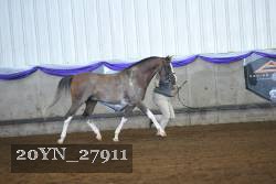 20YN_27911 proof