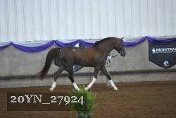 20YN_27924 proof