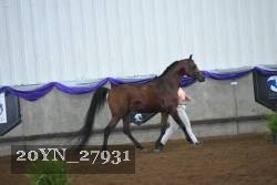 20YN_27931 proof