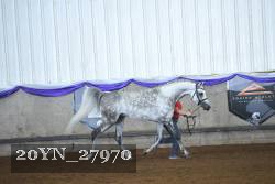 20YN_27970 proof