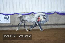 20YN_27972 proof