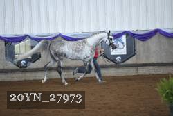20YN_27973 proof