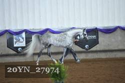 20YN_27974 proof