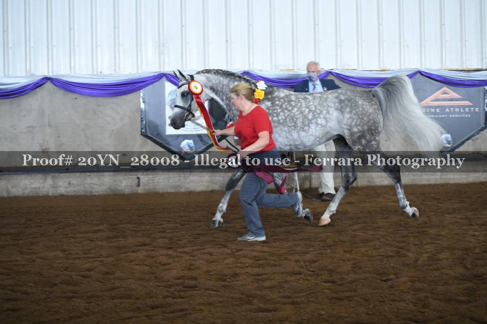 Proof 20YN_28008